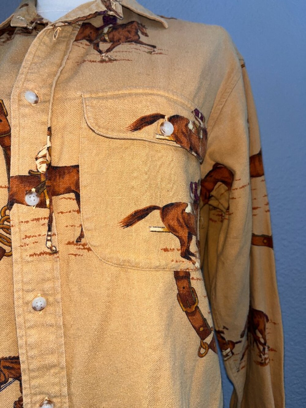 VINTAGE RALPH LAUREN POLO EQUESTRIAN HORSE COWGIRL BUTTON DOWN SHIRT BLOUSE -  8 - Picture 4 of 11